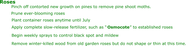 Pinch off contorted new growth on pines to remove pine shoot moths. Roses Prune ever-blooming roses Plant container roses anytime until July Apply complete slow-release fertilizer, such as “ Osmocote ” to established roses Begin weekly sprays to control black spot and mildew Remove winter-killed wood from old garden roses but do not shape or thin at this time.